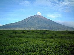 gunung pesagi