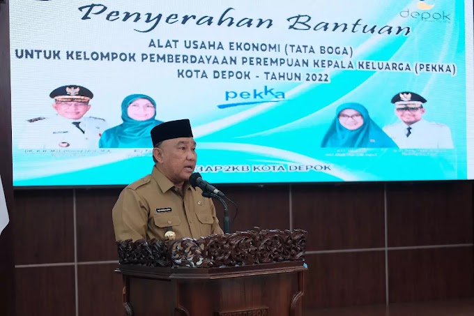 Idris Serahkan Bantuan Alat Usaha Ekonomi Buat Kelompok Perempuan Kepala Keluarga