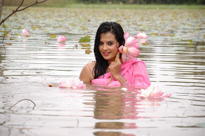 roopika spicy @ senkadu movie actress pics