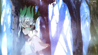 ドクターストーンアニメ主題歌 1期1クールOPテーマ Good Morning World! BURNOUT SYNDROMES Dr.STONE Season 1