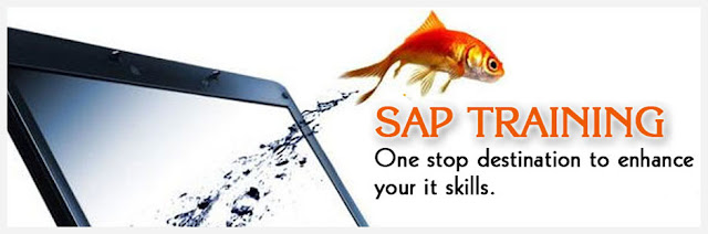 SAP ERP Training in Lahore