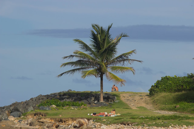 Beaches in Puerto Rico