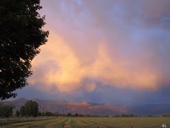 IMG_9217