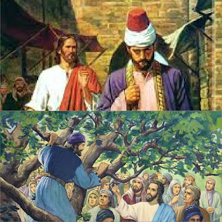 Image result for images for the rich your ruler and Zacchaeus