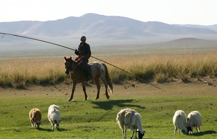 Mongolia Horses and Humans - Nice Photographs...