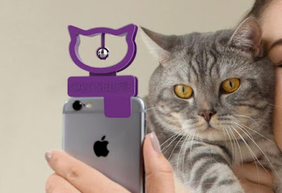 Cat Selfie, With Hanging Jingling Bell, This Thing Help Grab The Cat's Attention Long Enough For Selfies