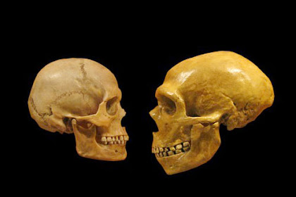 Moderne Menschen Teilten Sich Selbst Zentraleuropa Mit Neandertalern Länger Als Bisher Gedacht