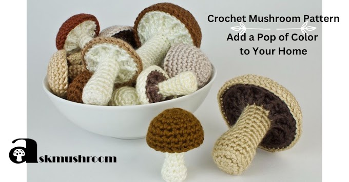 Crochet Mushroom Pattern : Add a Touch of Whimsy to Your Home