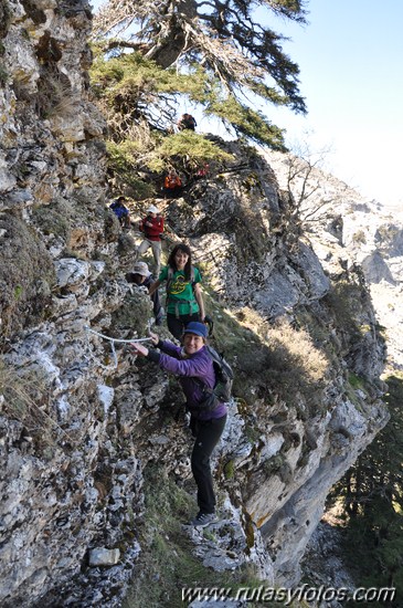 IX Travesía Sierra de las Nieves