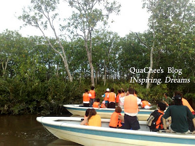 proboscis monkey tour sabah forest