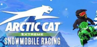 Arctic Cat Snowmobile Racing