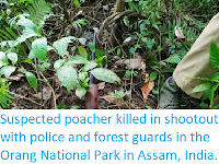 https://sciencythoughts.blogspot.com/2019/09/suspected-poacher-killed-in-shootout.html