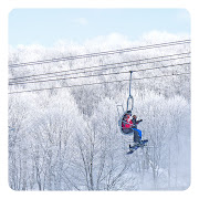 SilverWhite Tree Tops. Sunset Lift from the top of Stingray ~ Hidden Valley .