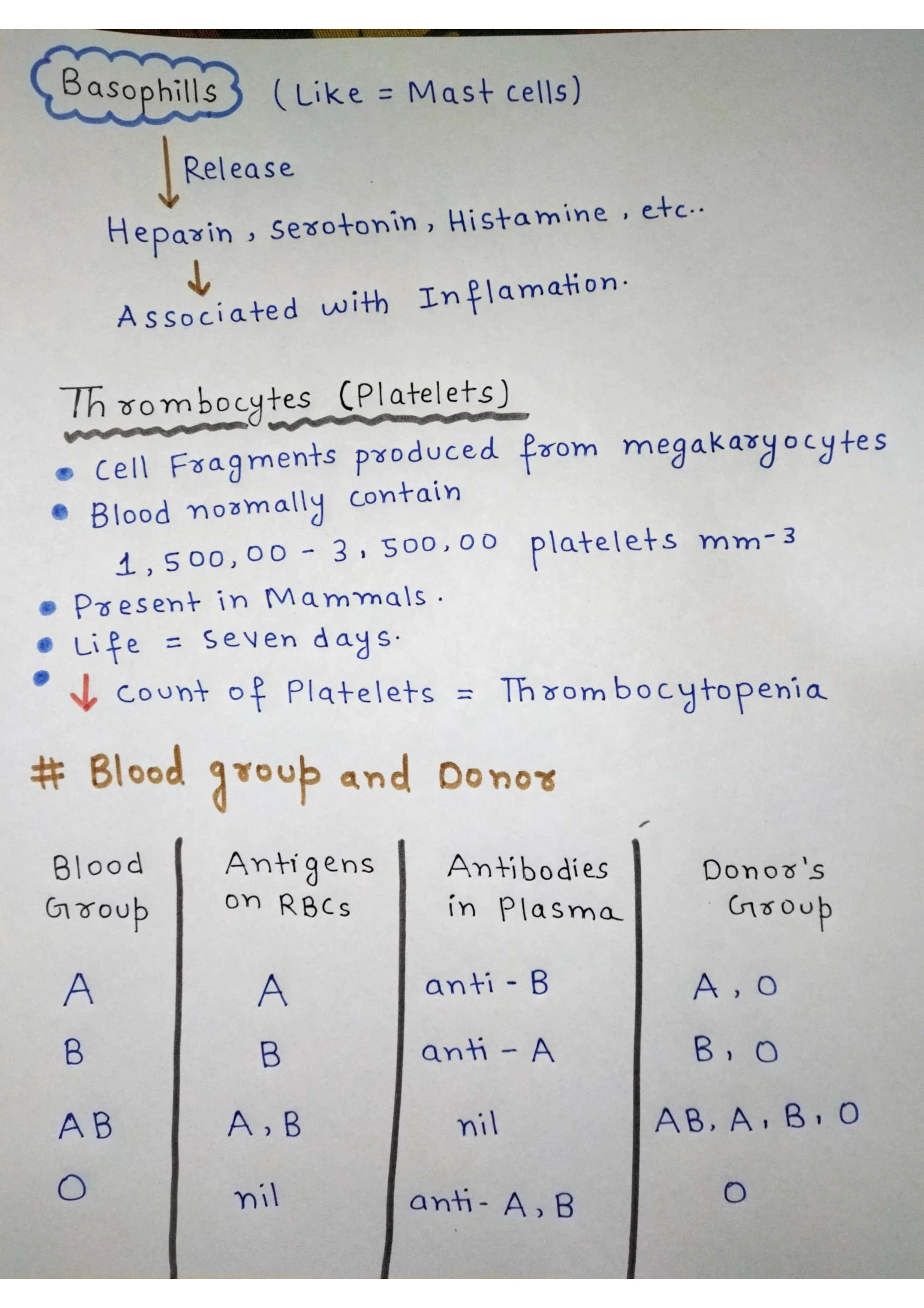 Body Fluids and Circulation - Blood, Lymph, and Heart Function