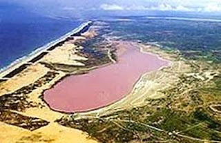 Foto, Laut Unik Berwarna Merah Jambu [ www.BlogApaAja.com ]