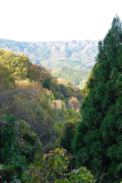 鳥取県西伯郡南部町上中谷 鎌倉山グリーンラインからの眺望