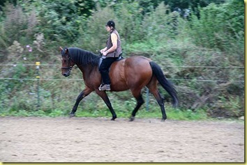 IMG_3874 IMG_3874
