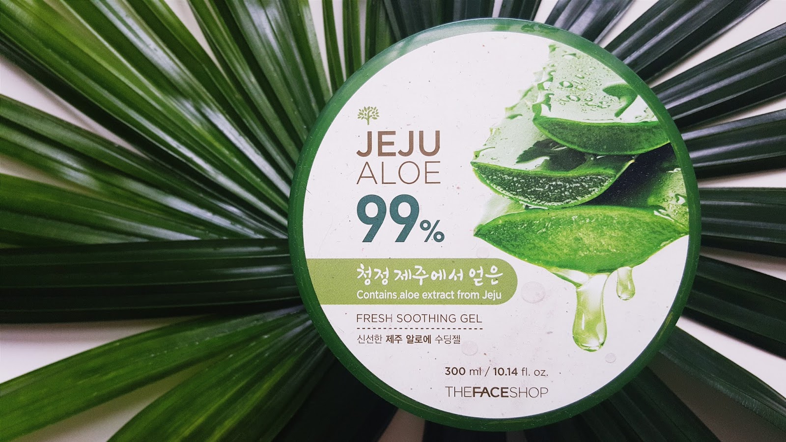 The Face Shop Jeju Aloe 99 Fresh Soothing Gel Review Fishmeatdie