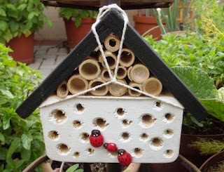 Carpenter Bee Traps
