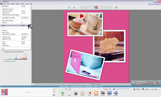 Picasa Tutorial - Collage