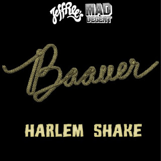 Baauer   Harlem Shake (Mike Frost & Dj Rodion Remix) seciki pl