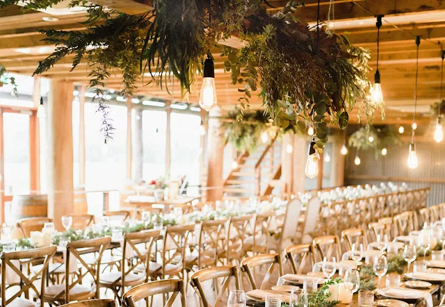 Wedding Venue Ideas