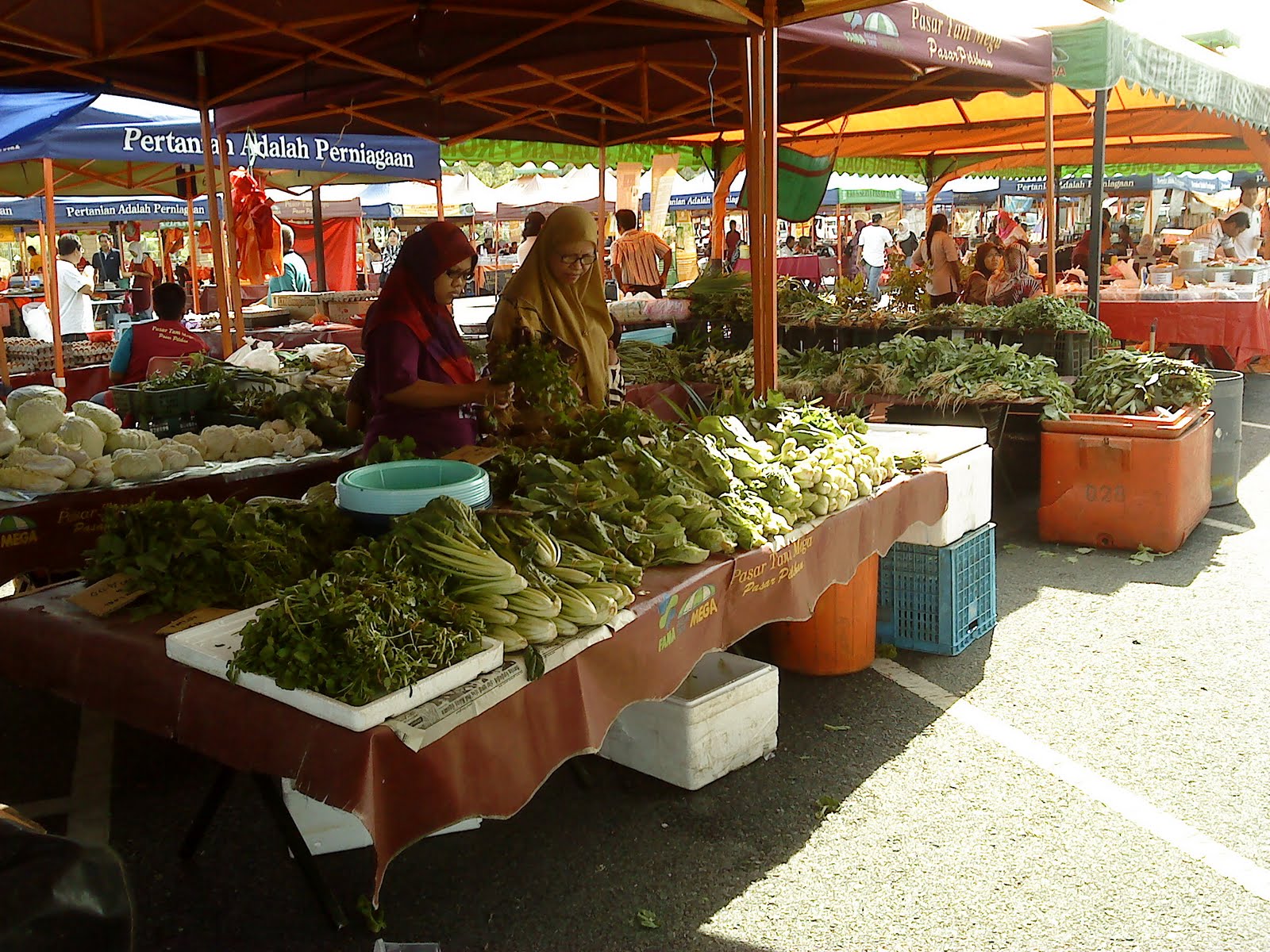 zuldandunia Pasar Tani  MARDI Serdang
