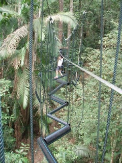 Skytrex Extreme Challenge: Waltzing up the Tree Tops