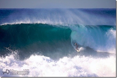 Northern Beachs. Foto Alex Marks