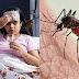 டெங்கு நோய் புதிய பிறழ்வால் ஆபத்து!
