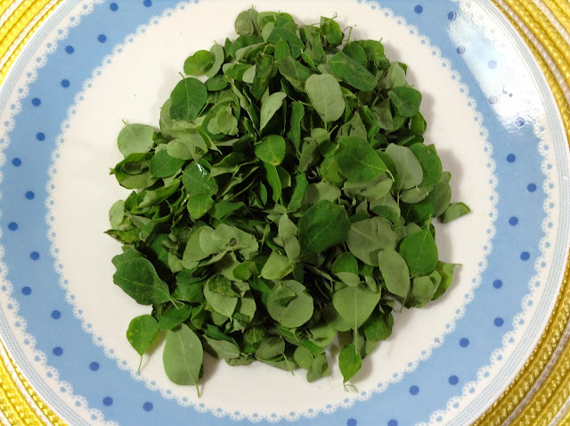 Moringa leaves