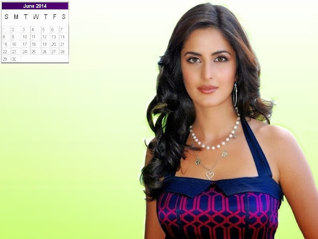 Katrina Kaif Calendar 2014