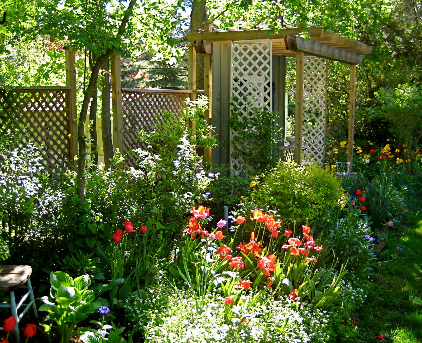 Lattice In My Garden, A Lovely Memory PRISCILLA MAE et al