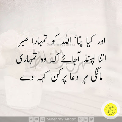 golden words about life in urdu