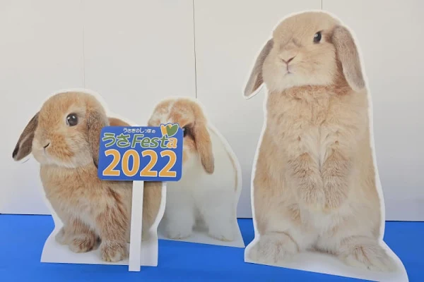 うさフェスタ2022 秋