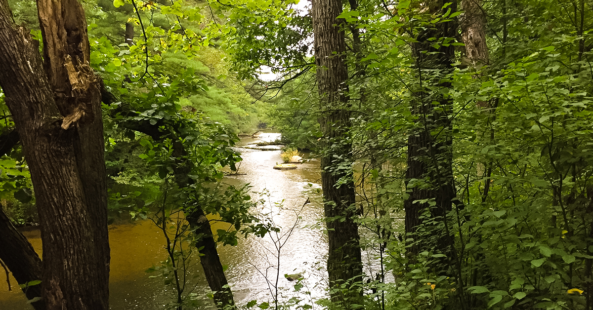 Waupaca River