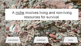 A niche involves living and non-living resources for survival.