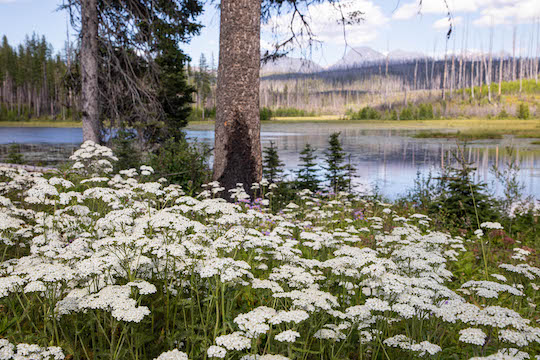 One last look at Howe Lake