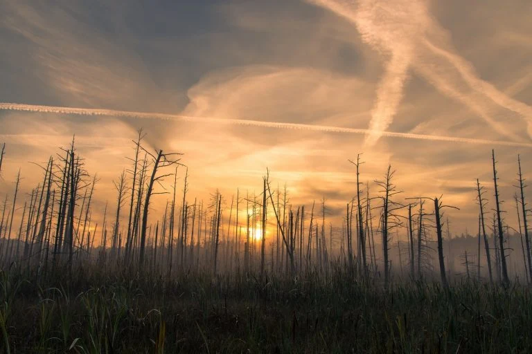 Aquecimento global é uma geoengenharia global artificialmente criada para manipulação do clima