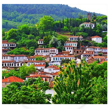 مدينة سكاريا