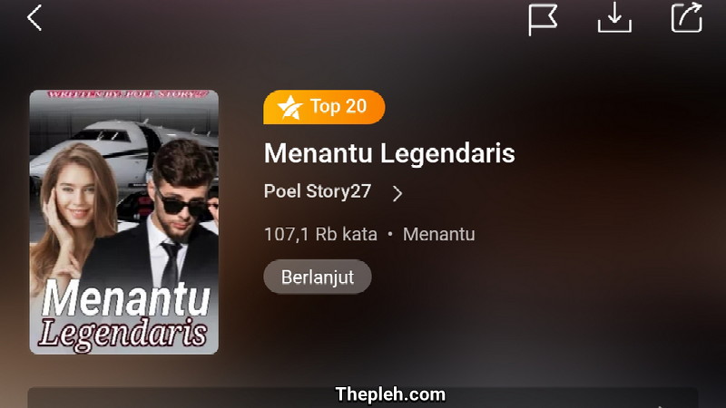 Novel Menantu Legendaris Full Bab