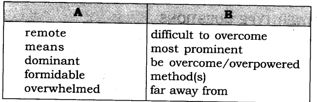 Solutions Class 8 Honeydew Chapter- 5 (The Summit Within)