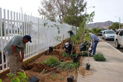 REALIZA GOBIERNO MUNICIPAL TRABAJOS DE MEJORA EN LA CIUDAD