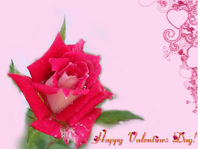 valentines day roses by cool wallpapers at cool wallpapers and wallpaper