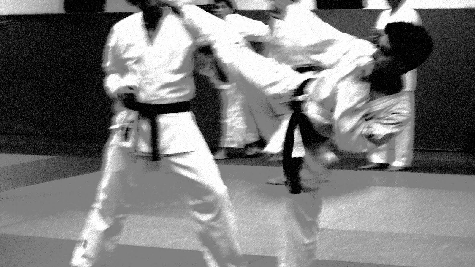 Bud Karate  Budo Karate  Choices