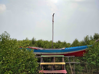 Mempawah Mangrove Park 2