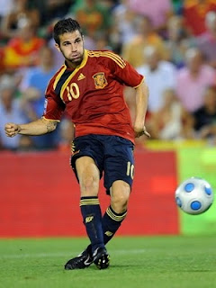 Cesc Fabregas World Cup 2010 Spain