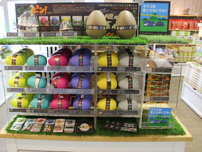√ダウンロード 福井 恐竜 博物館 お 土産 152035