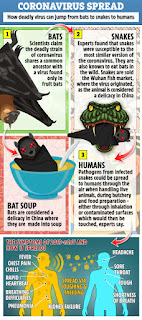 A visual of foods along with preparation where the coronavirus may have started from