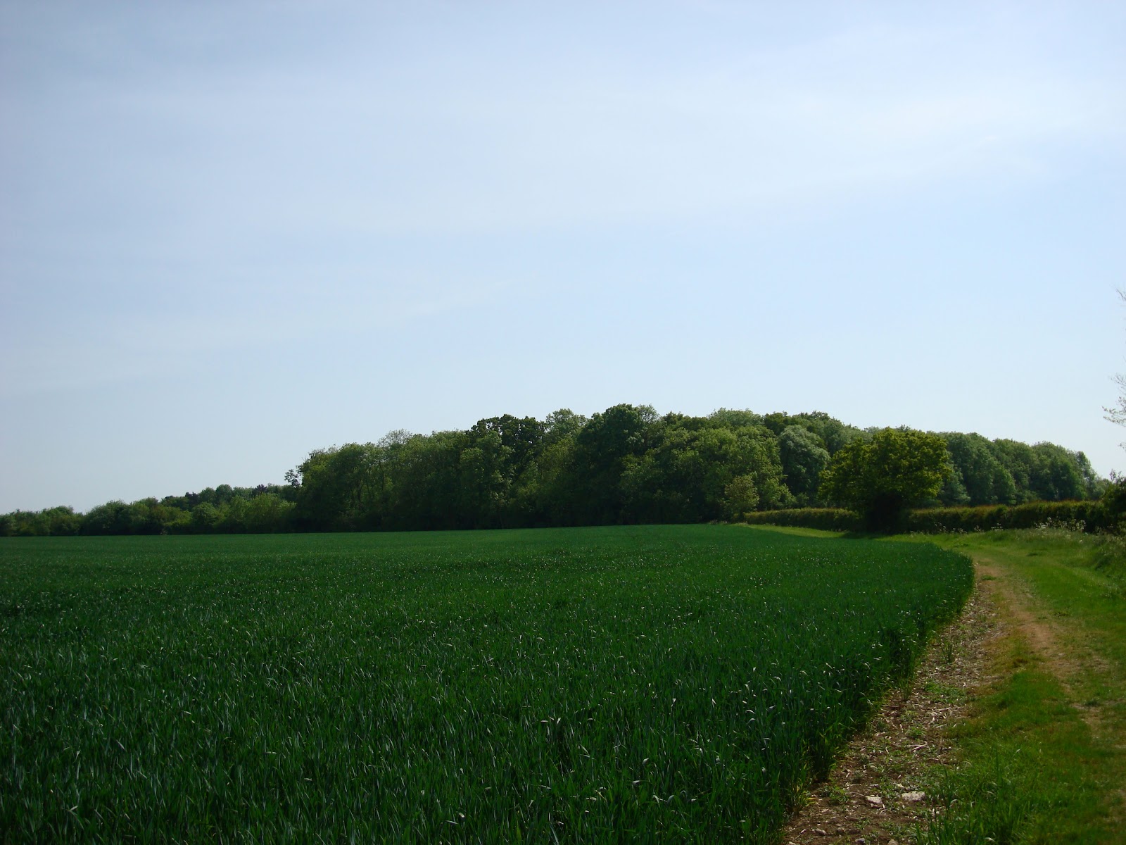 DSC08061.JPG
